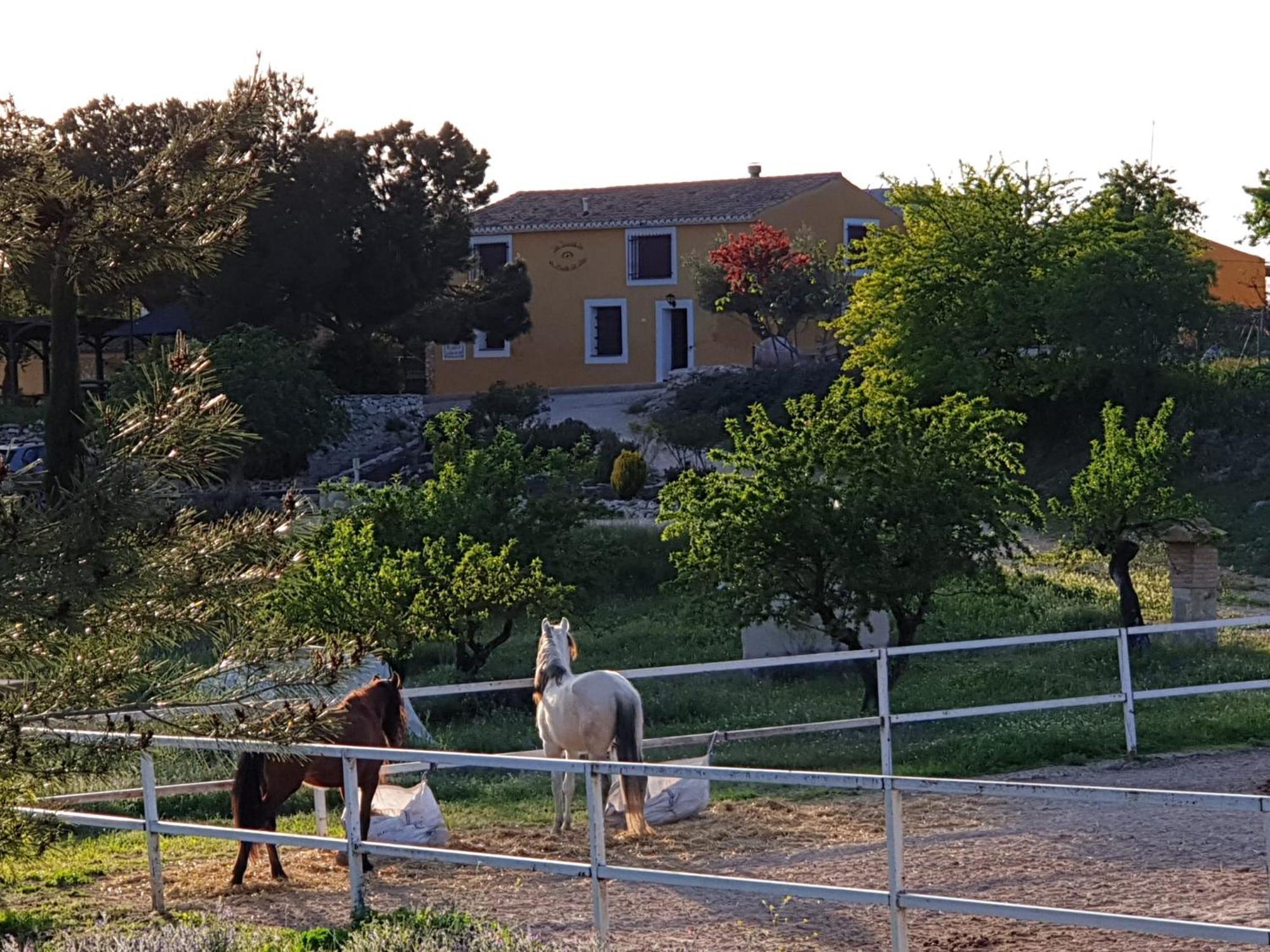 Complejo Rural Las Lomas De Biar Exterior photo